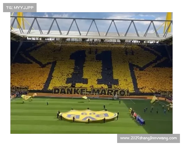 多特蒙德南看台横幅致敬罗伊斯退役传奇